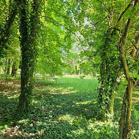 Gardenia Park 4* Μπάνσκο