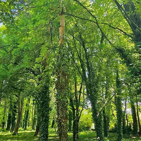 Gardenia Park 4* Μπάνσκο
